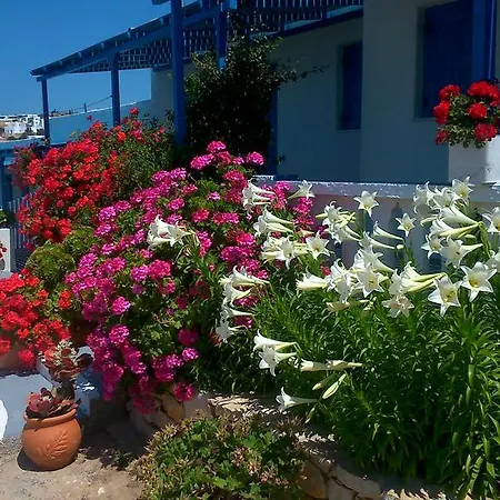 Iliovasilema Village Appartement *